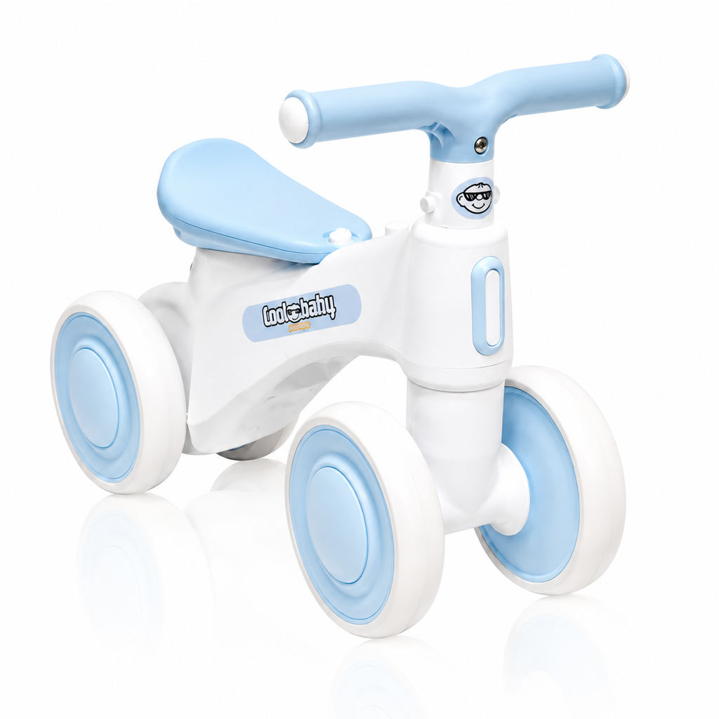 2010 Rider