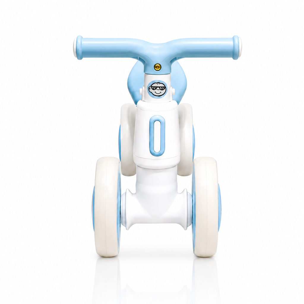 2010 Rider
