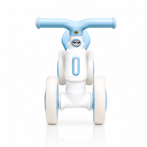 2010 Rider