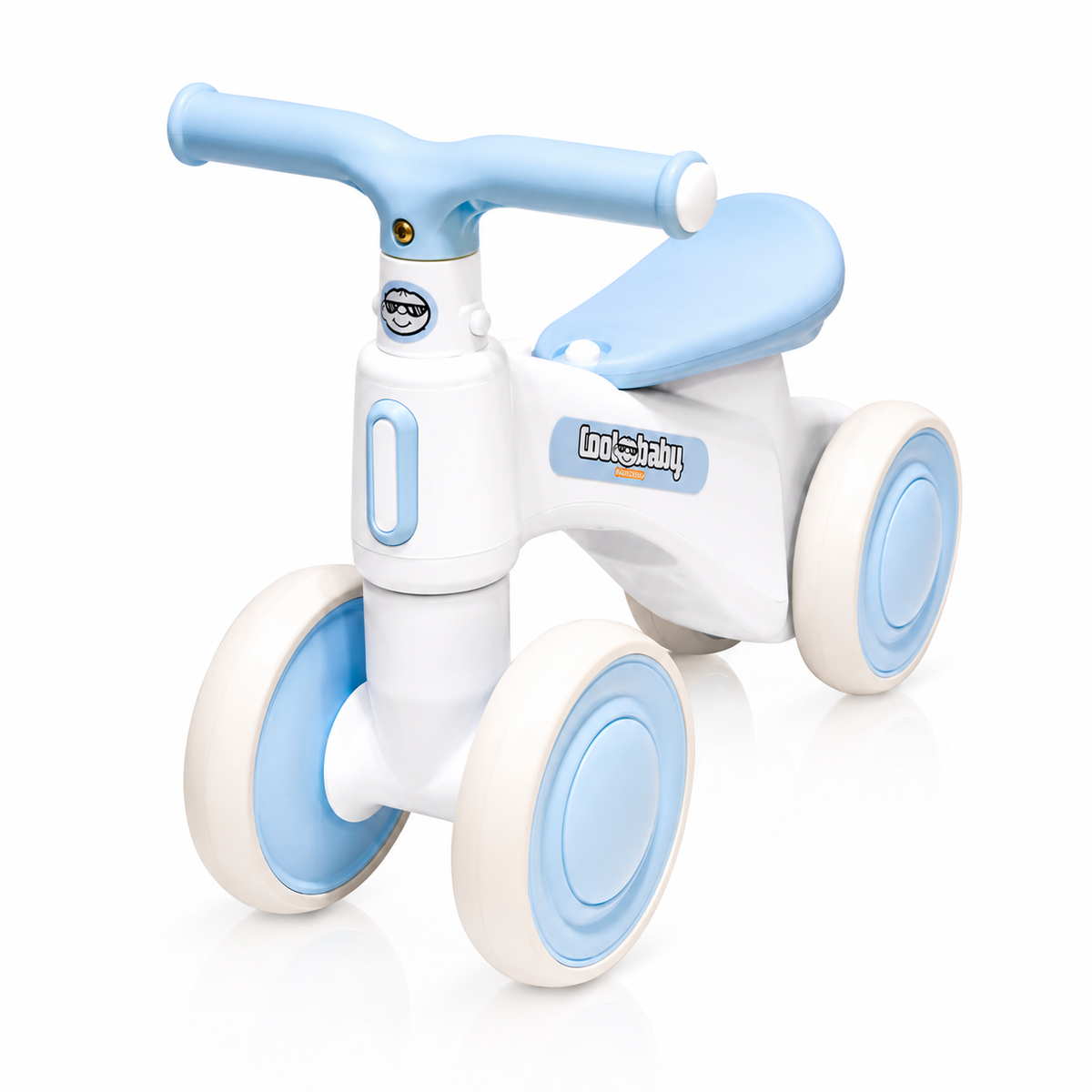2010 Rider