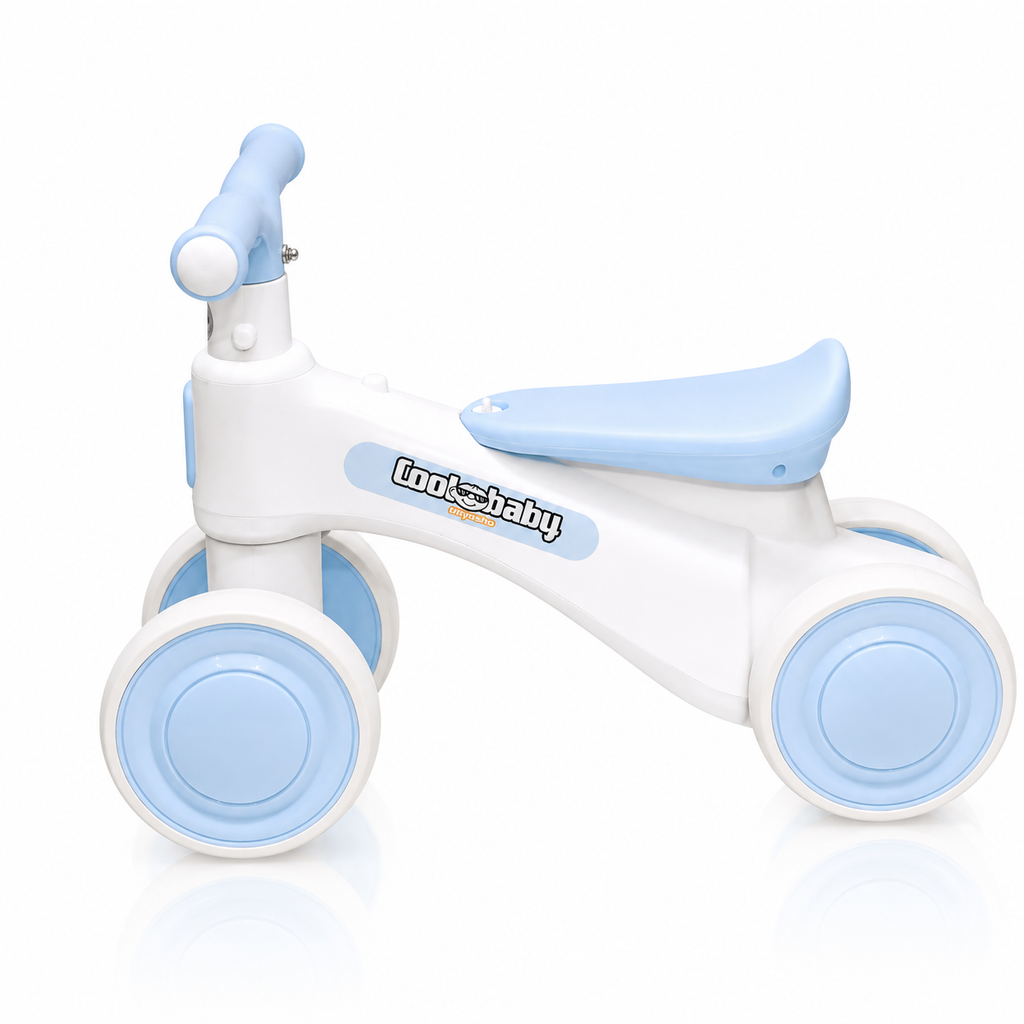 2010 Rider