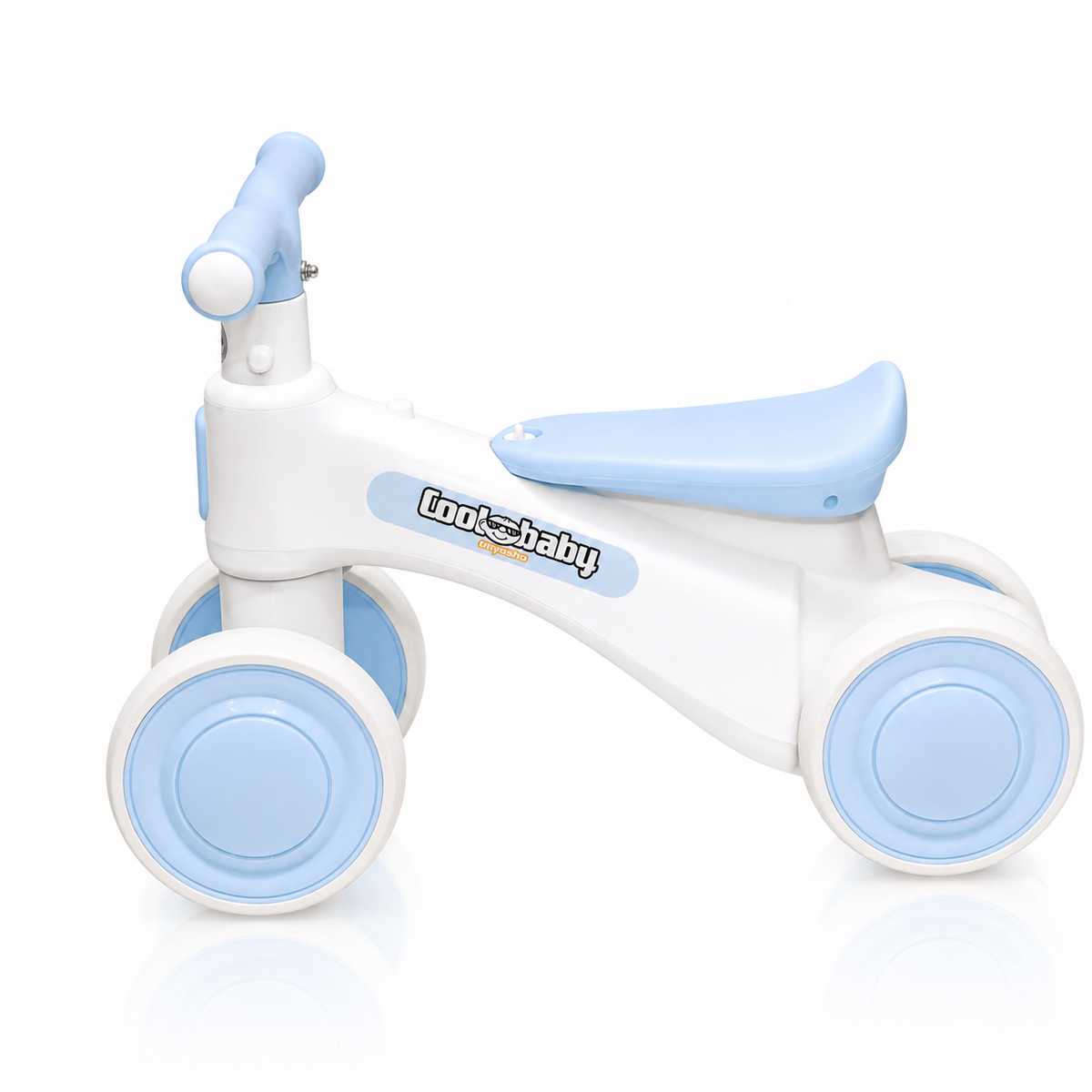 2010 Rider