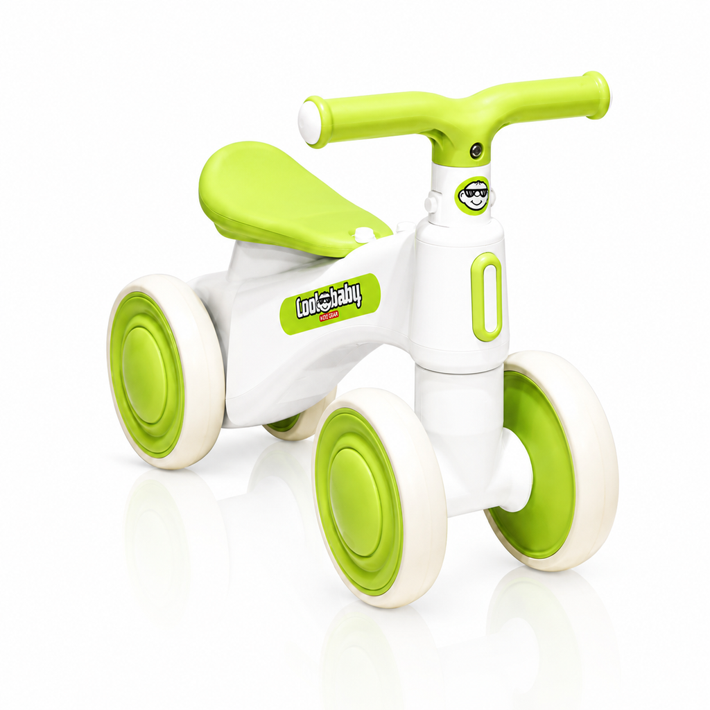 2010 Rider