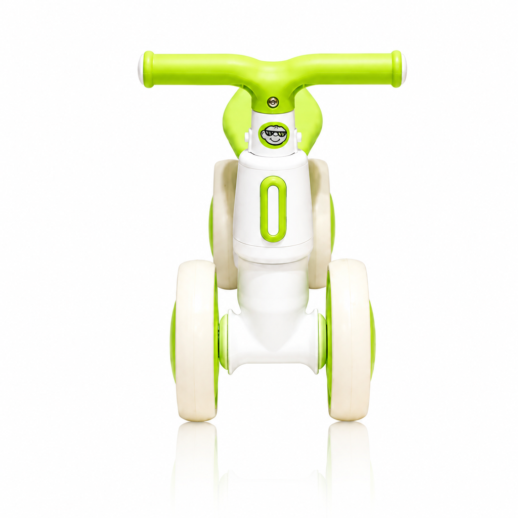 2010 Rider