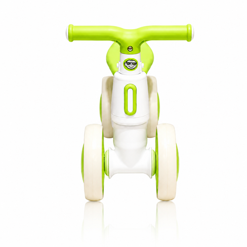 2010 Rider