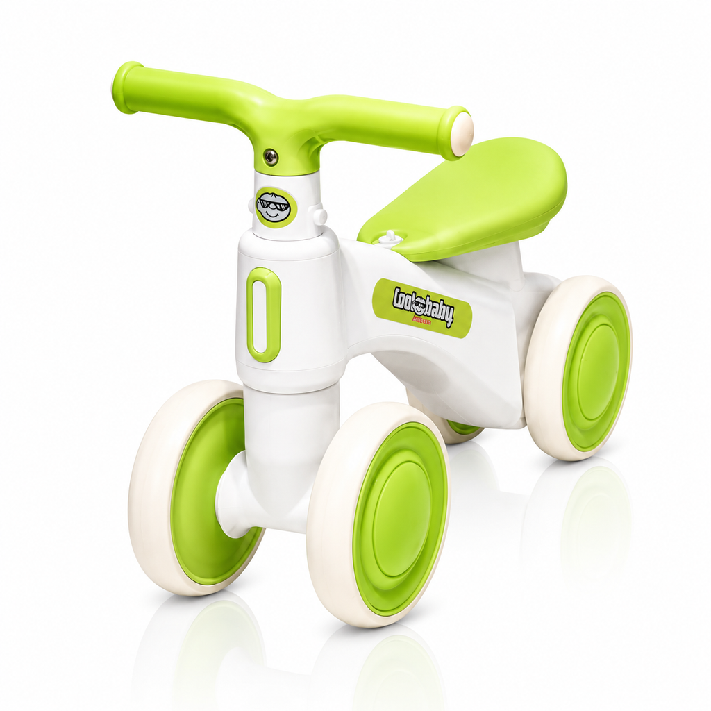 2010 Rider