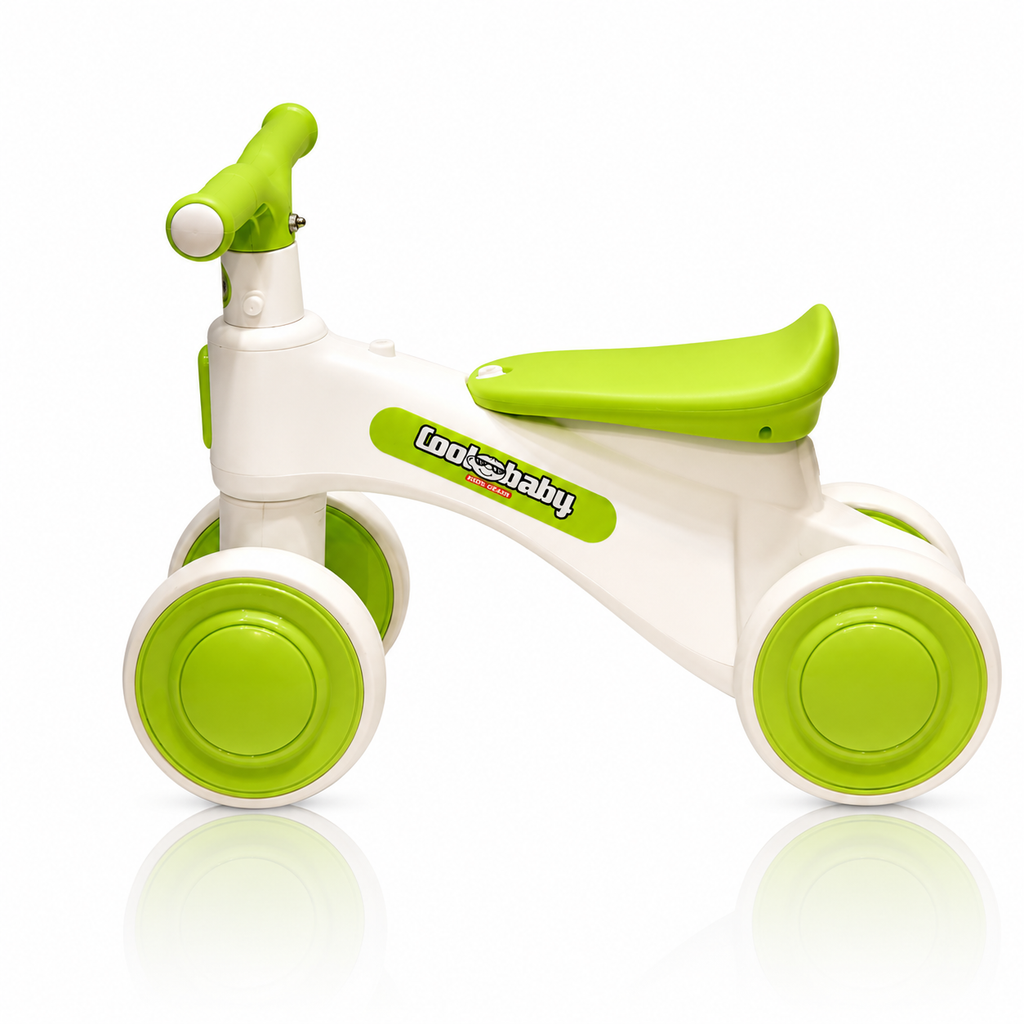 2010 Rider