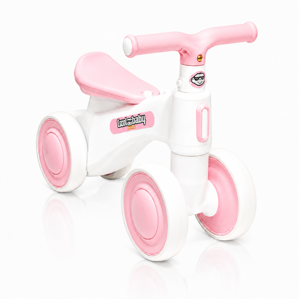 2010 Rider