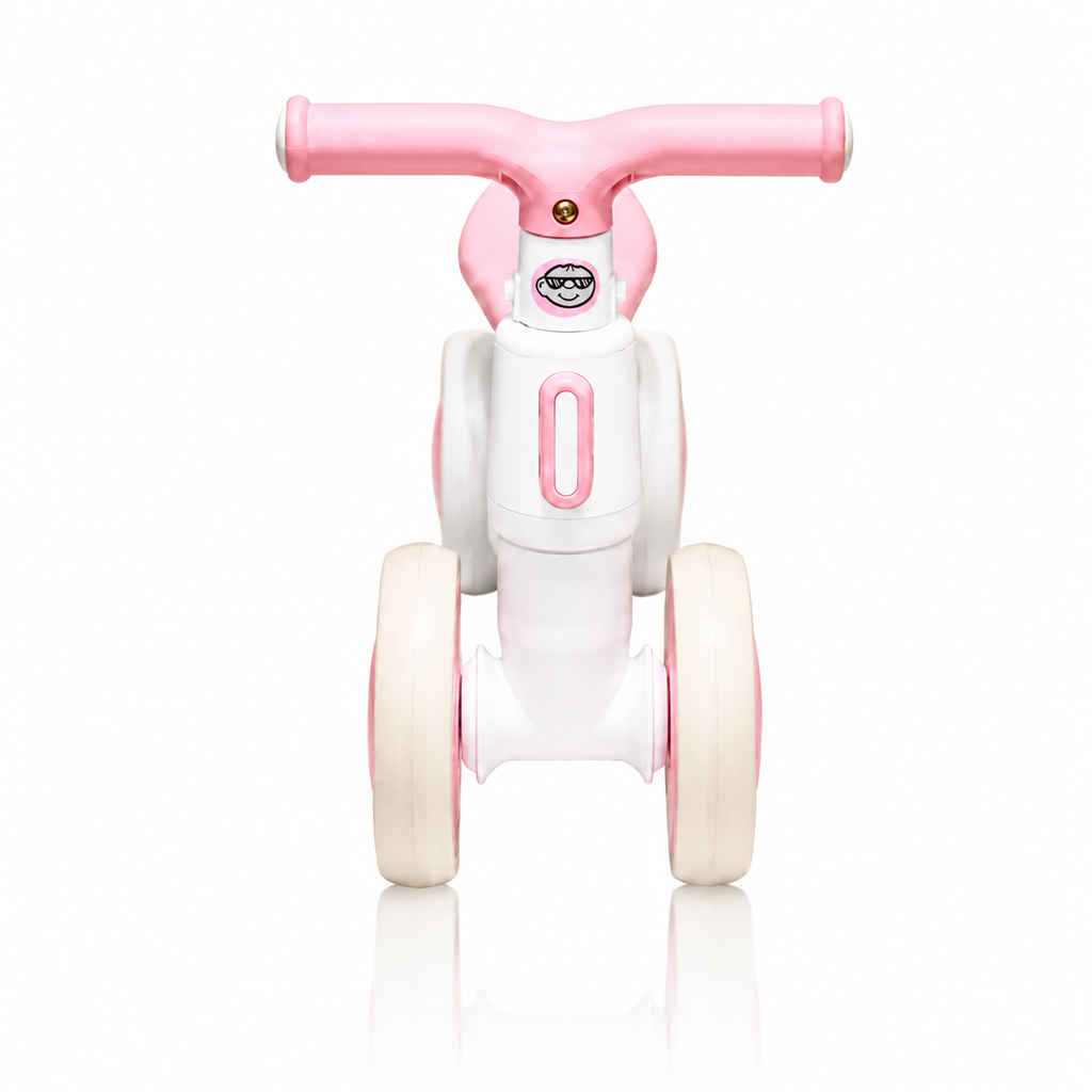 2010 Rider