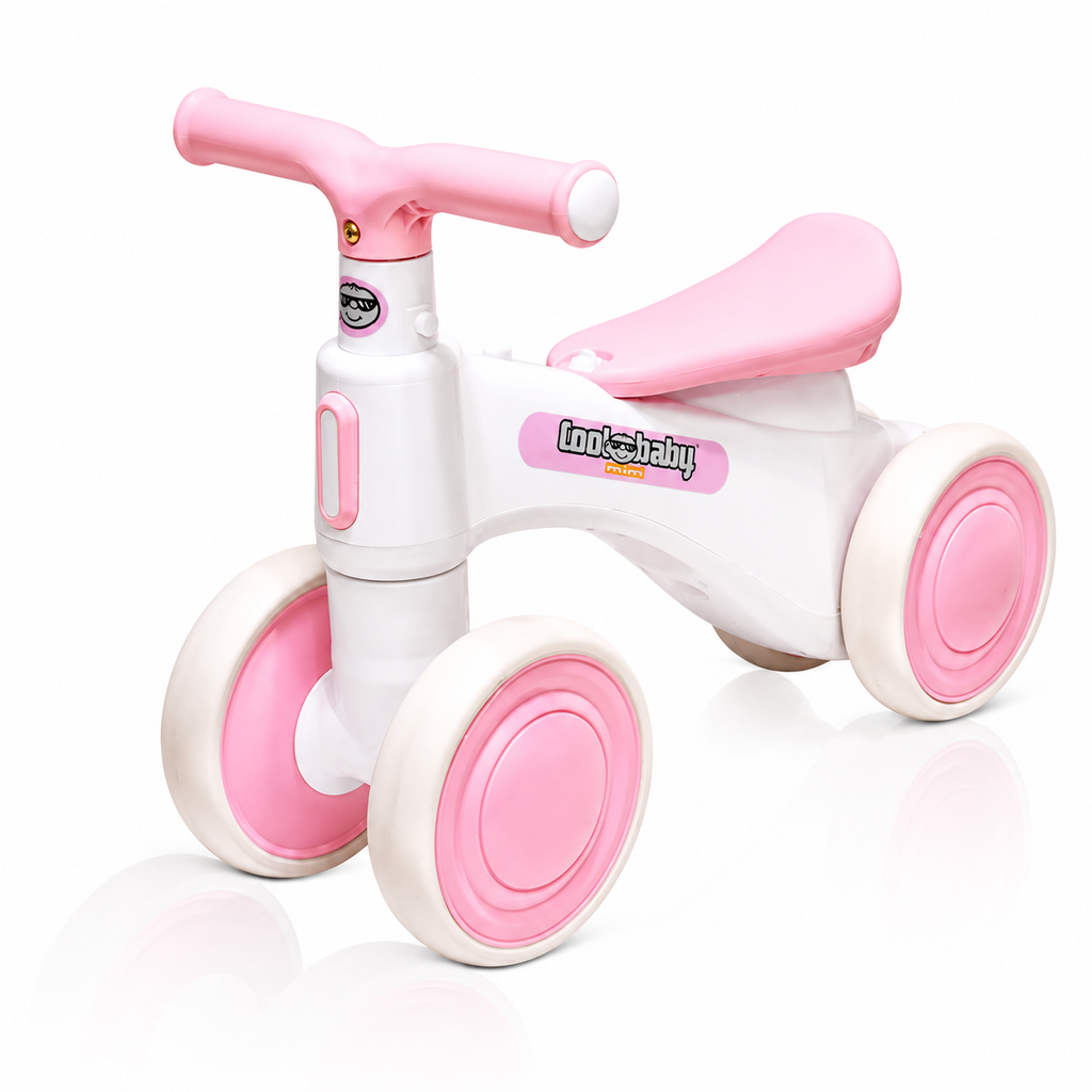 2010 Rider