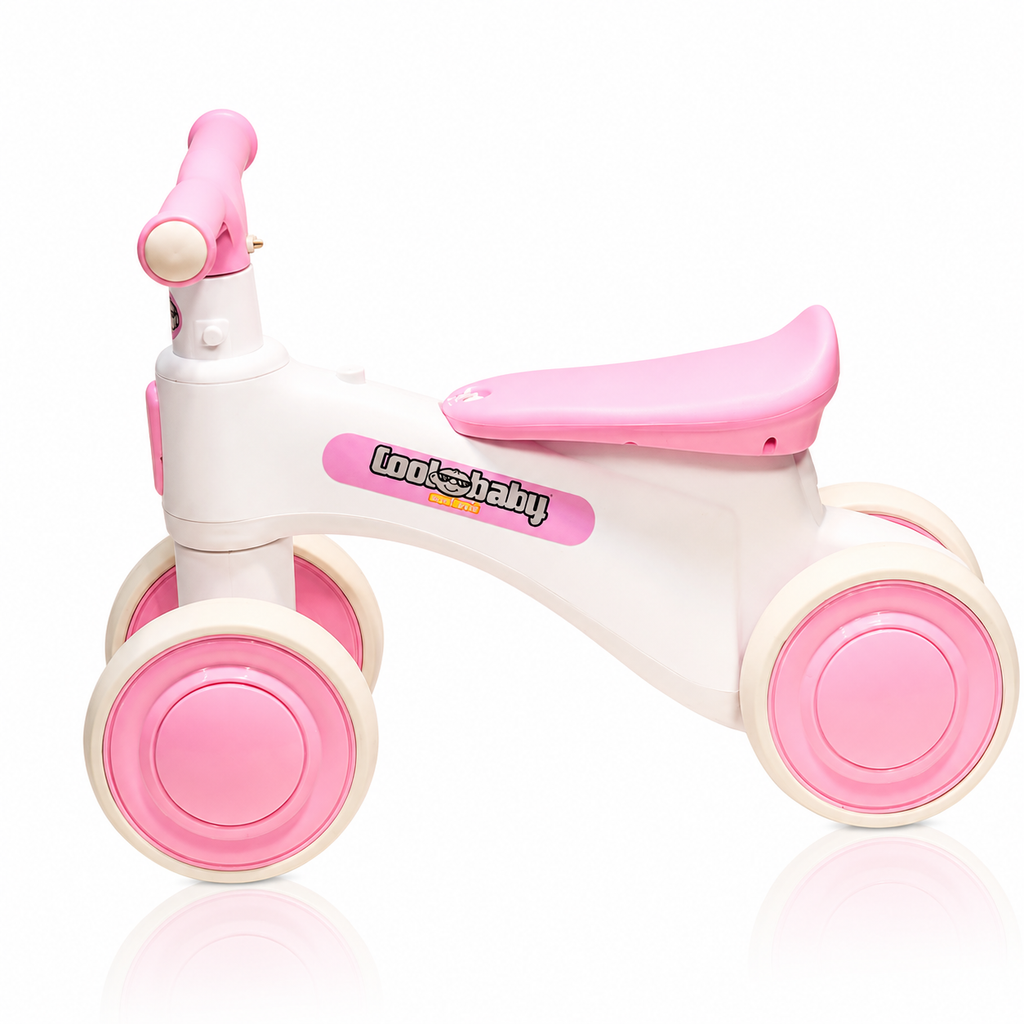 2010 Rider