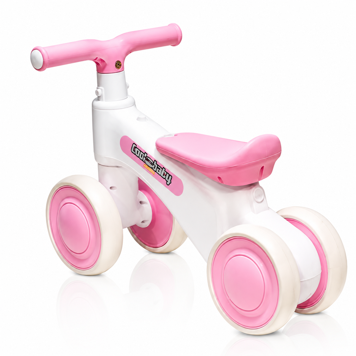 2010 Rider