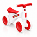 2010 Rider