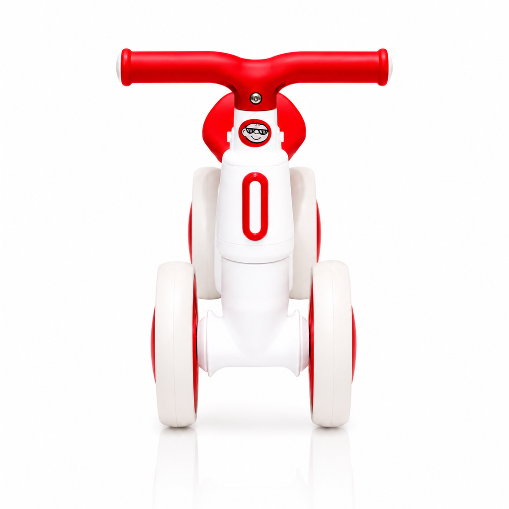 2010 Rider