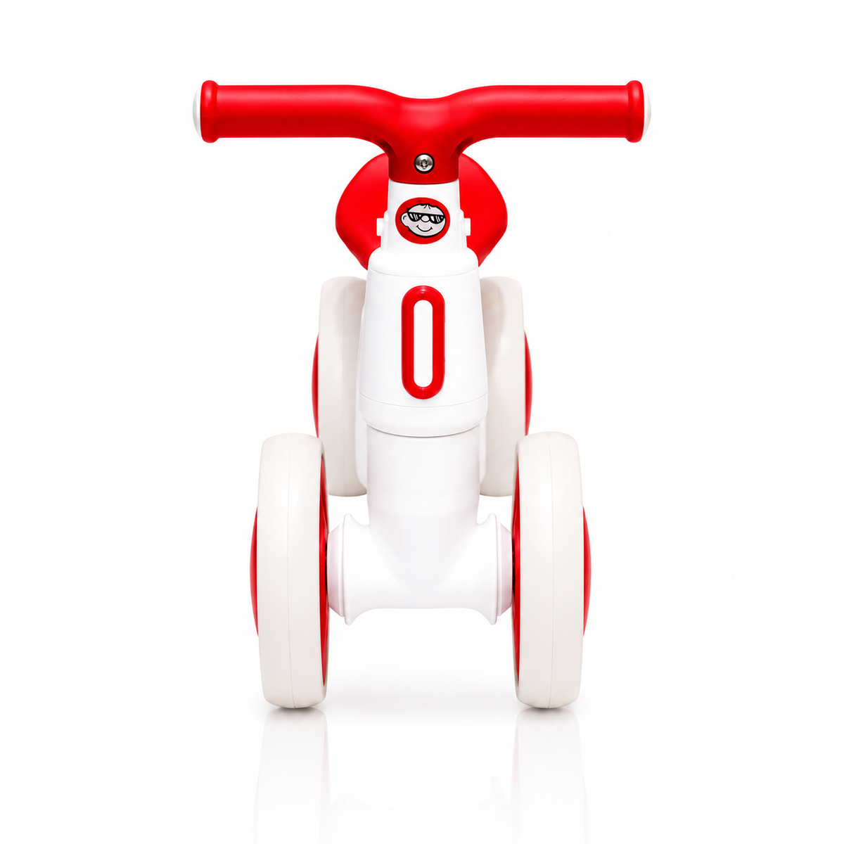 2010 Rider