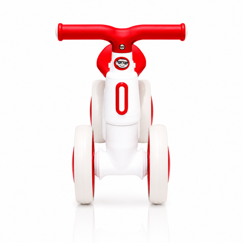 2010 Rider