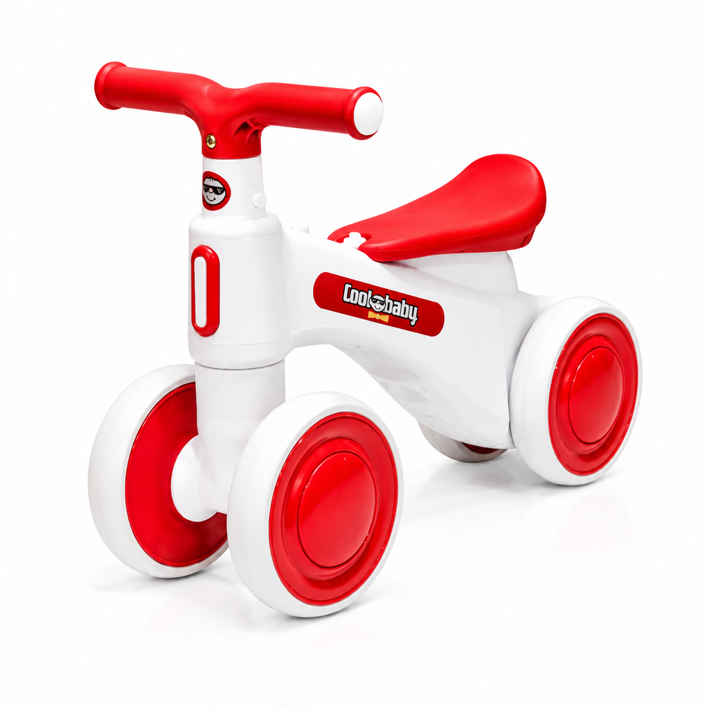 2010 Rider