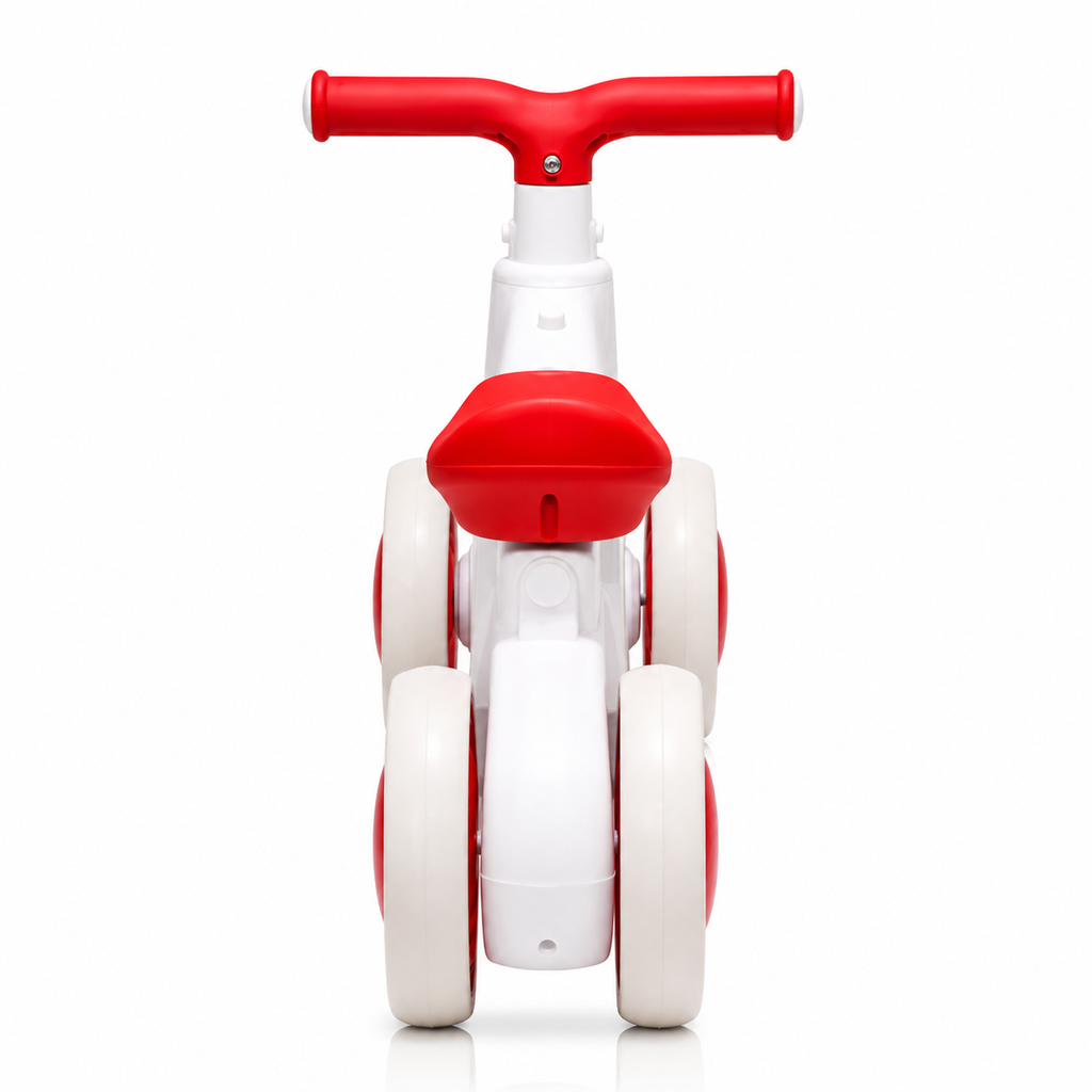 2010 Rider