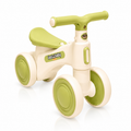 2010 Rider