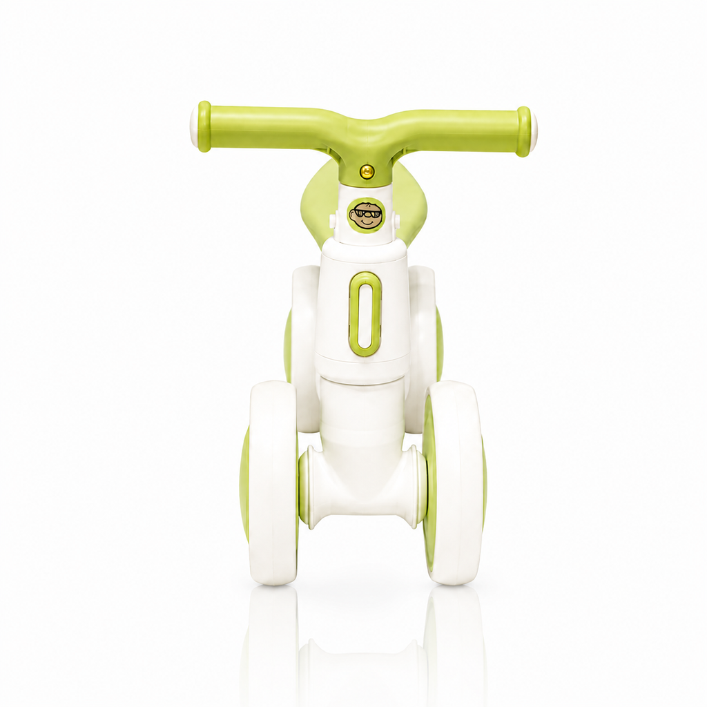 2010 Rider