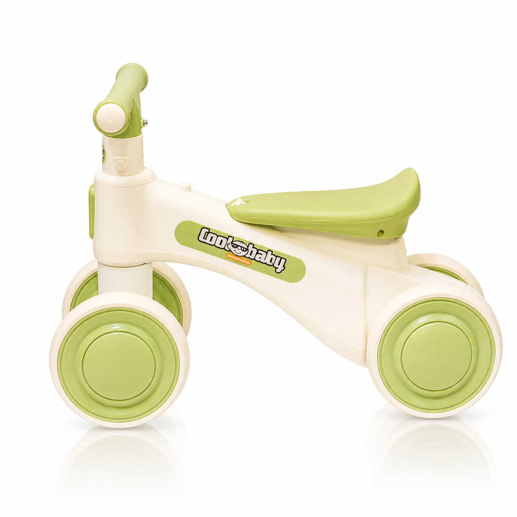 2010 Rider