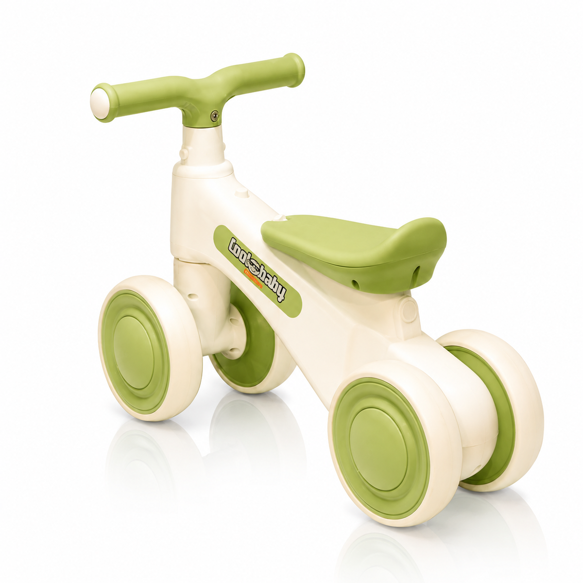 2010 Rider