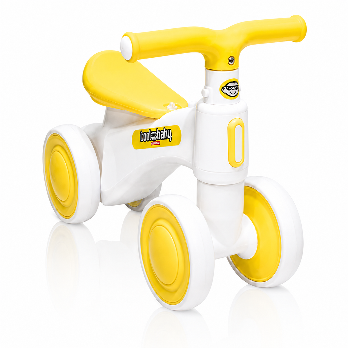 2010 Rider