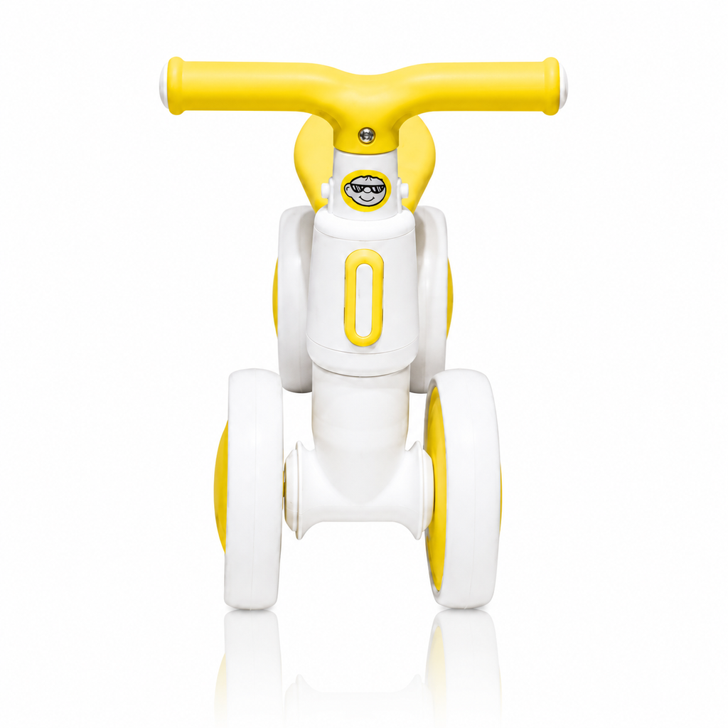 2010 Rider