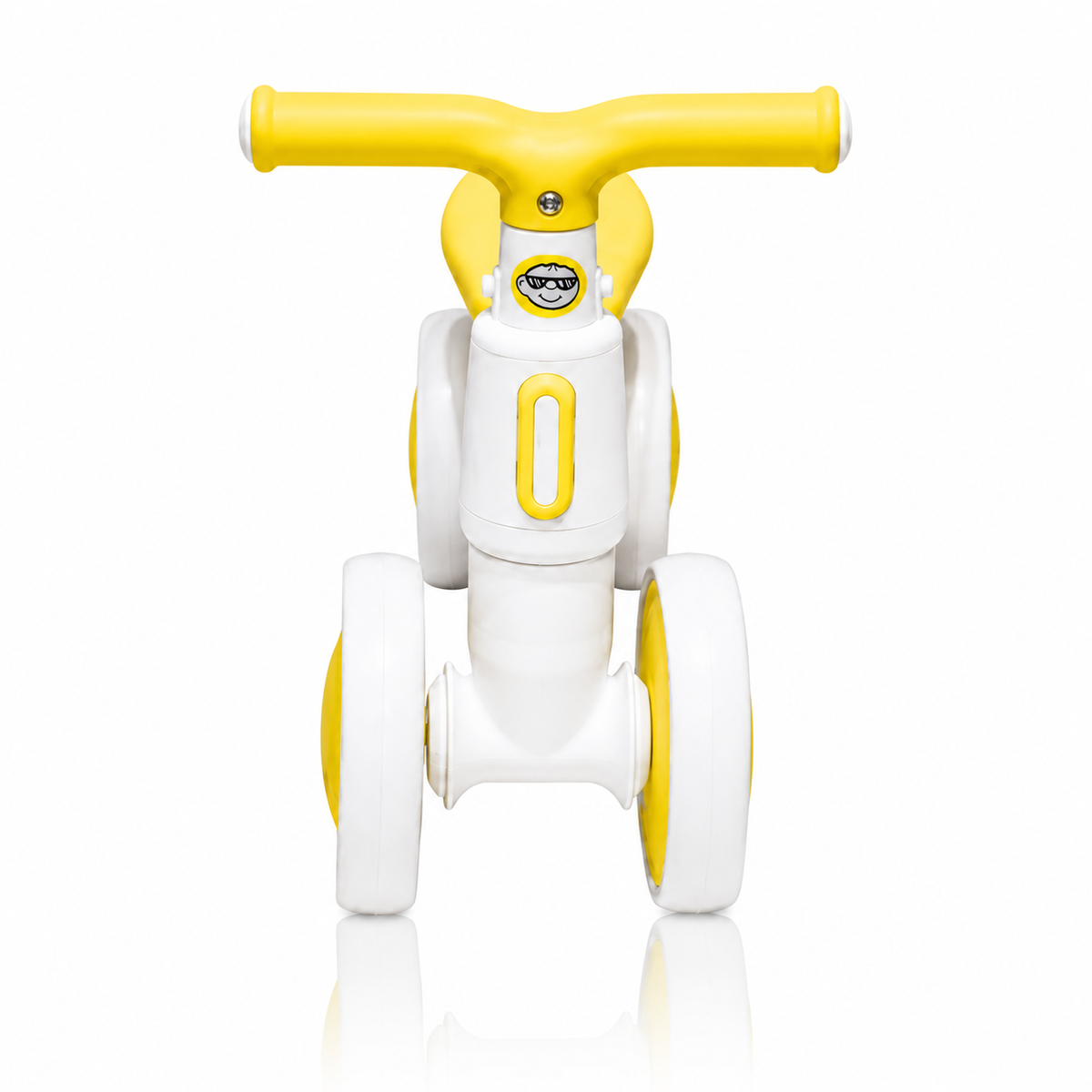 2010 Rider