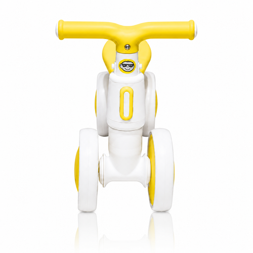 2010 Rider