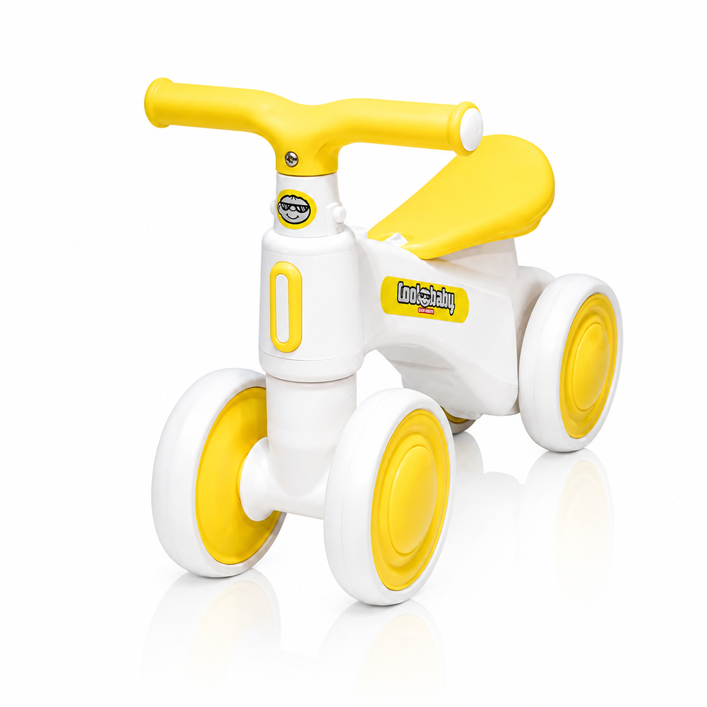 2010 Rider