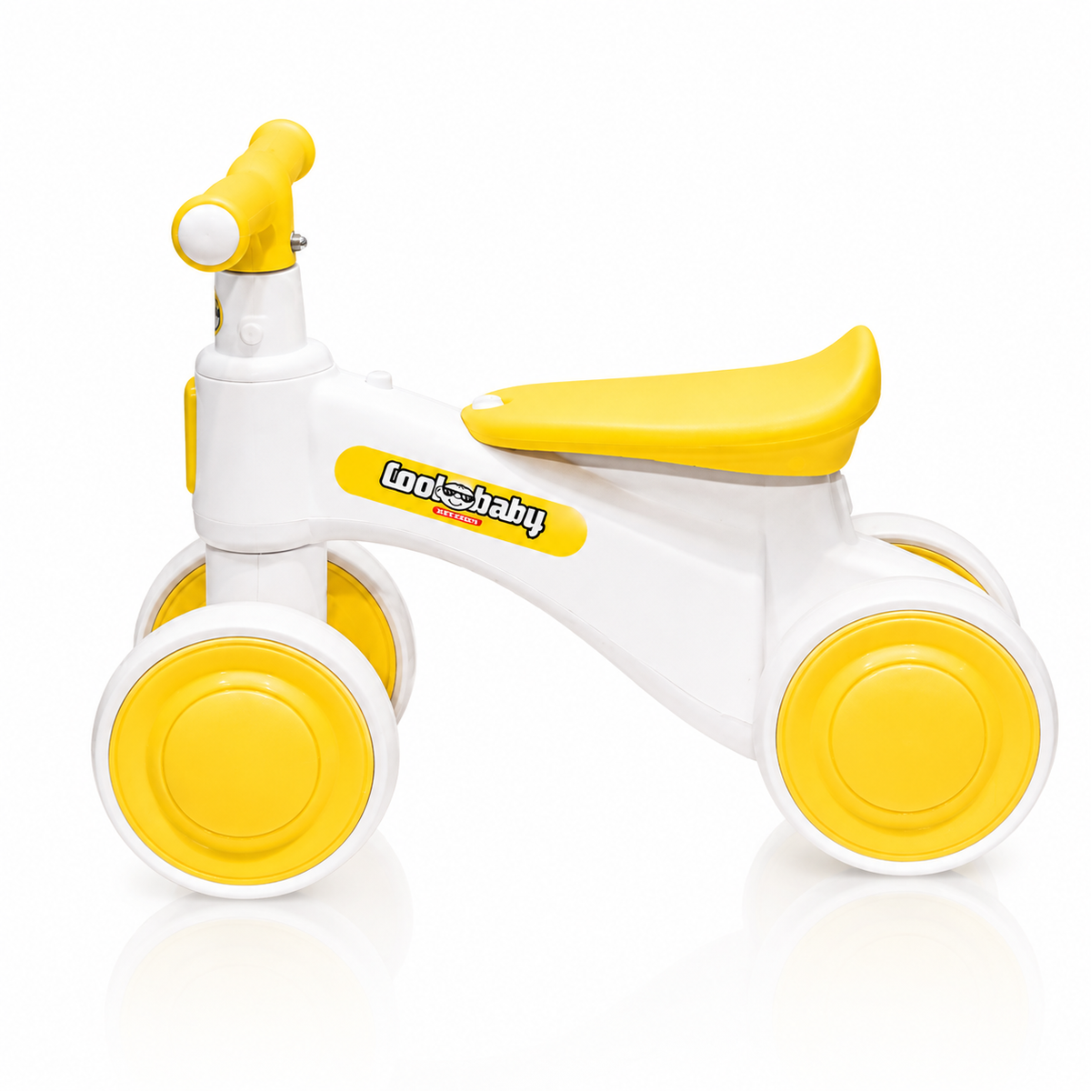 2010 Rider